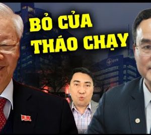 Lại thêm cựu Chủ tịch EVN nữa hưu non, có phải tháo chạy tránh bão